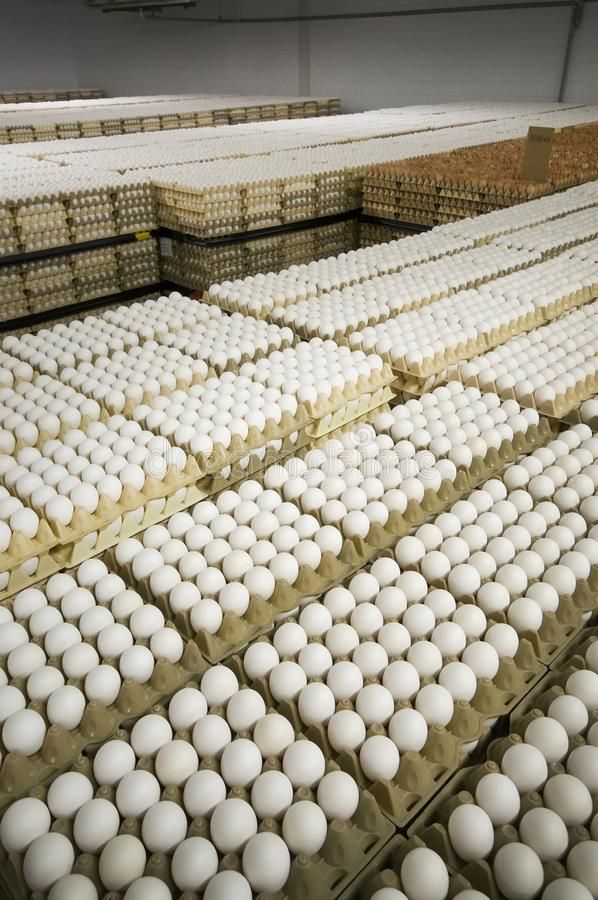 Egg Trading