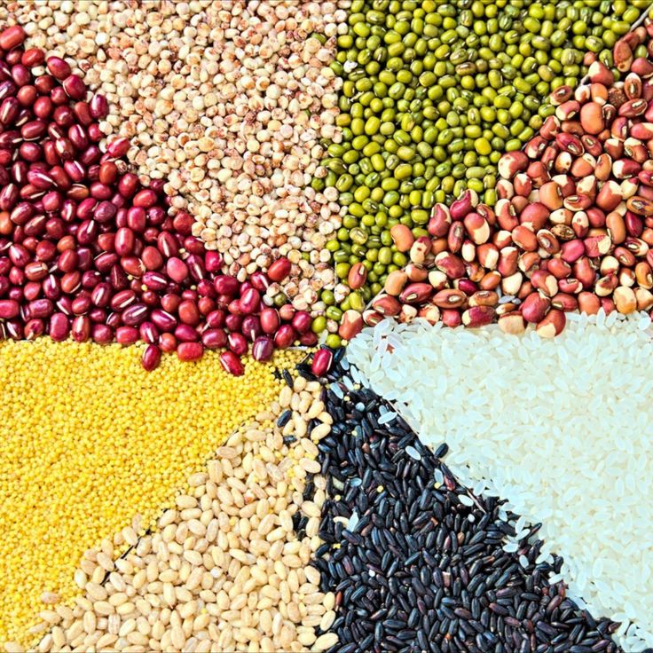 Grains, Cereals & Legumes Trading